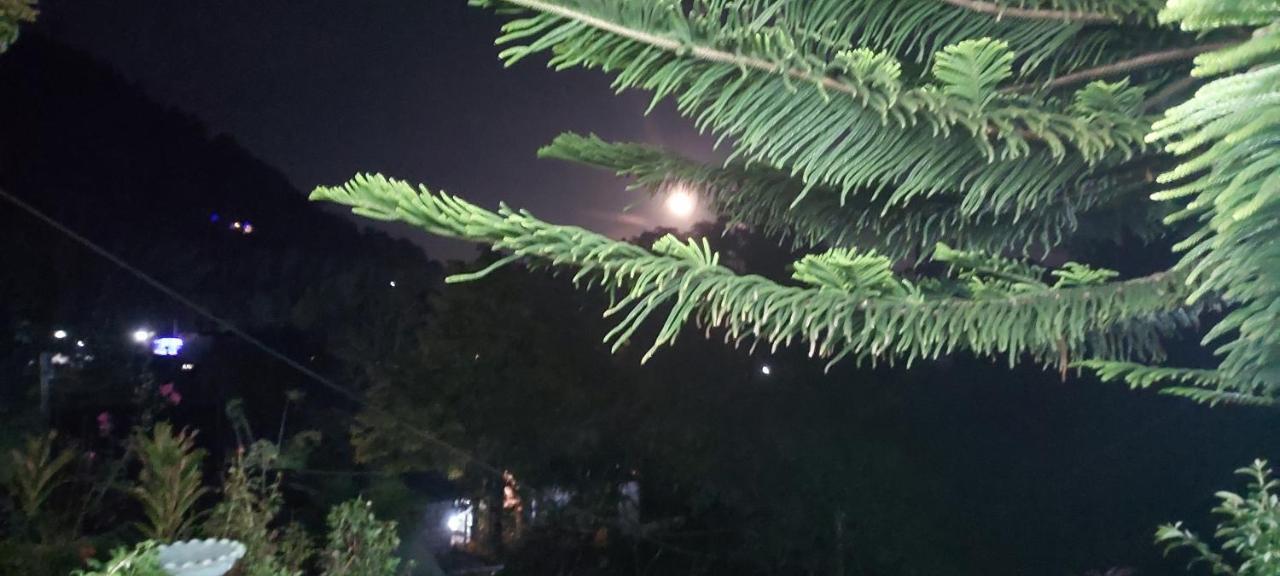 格林民宿 纳拉坦尼亚 外观 照片